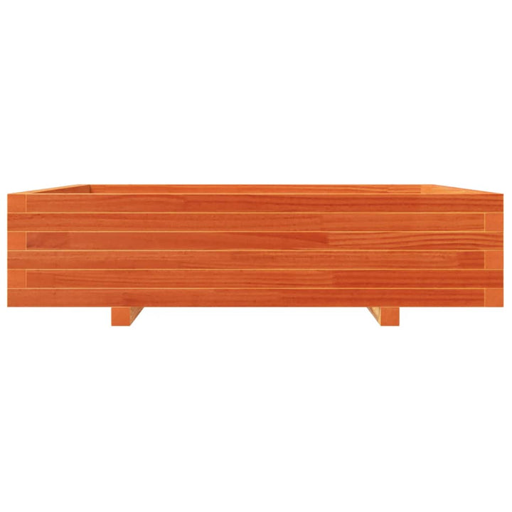 plantekasse 100x100x26,5 cm massivt fyrretræ gyldenbrun