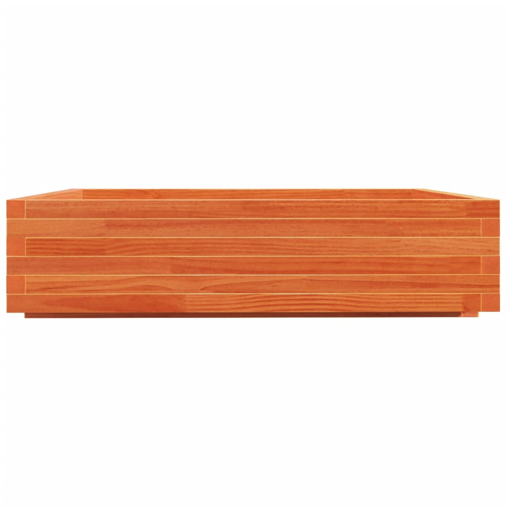 plantekasse 100x100x26,5 cm massivt fyrretræ gyldenbrun