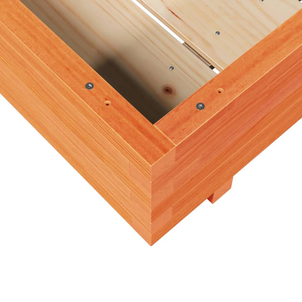 plantekasse 100x100x26,5 cm massivt fyrretræ gyldenbrun