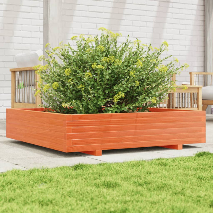 plantekasse 110x110x26,5 cm massivt fyrretræ gyldenbrun