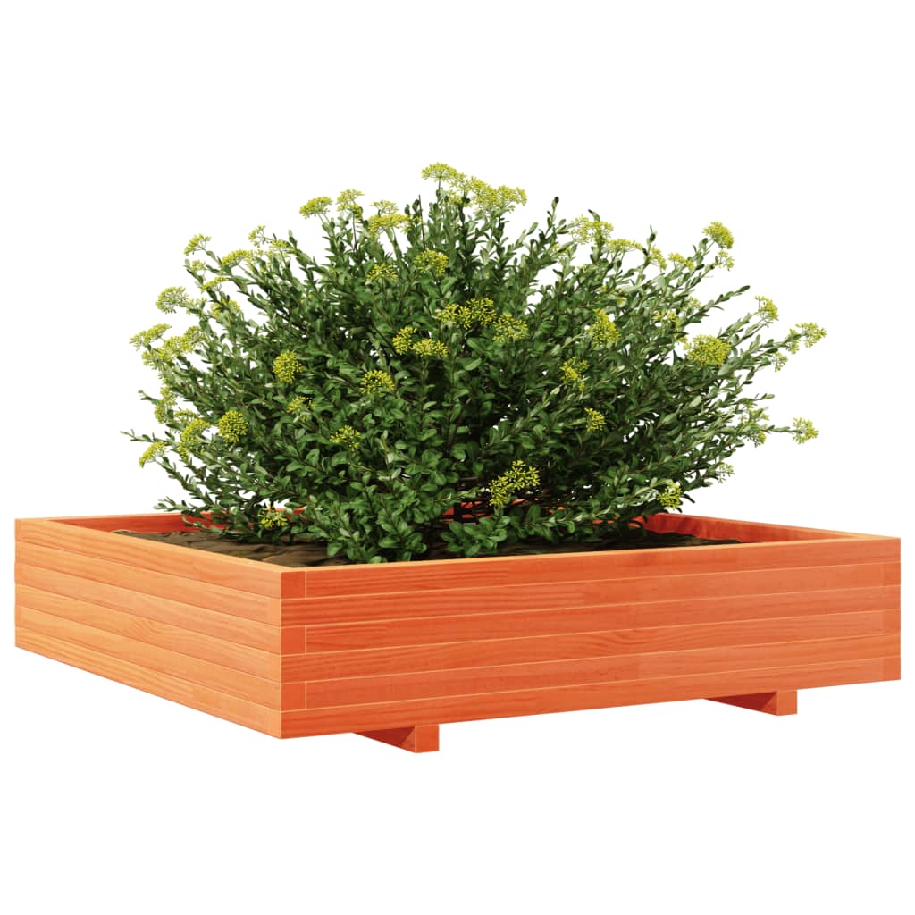 plantekasse 110x110x26,5 cm massivt fyrretræ gyldenbrun