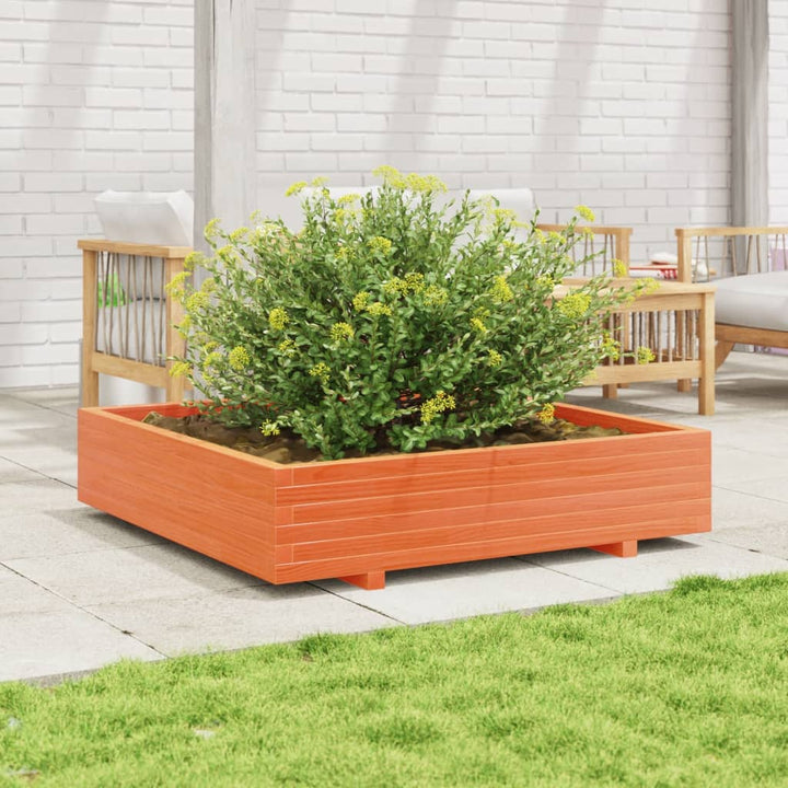 plantekasse 110x110x26,5 cm massivt fyrretræ gyldenbrun