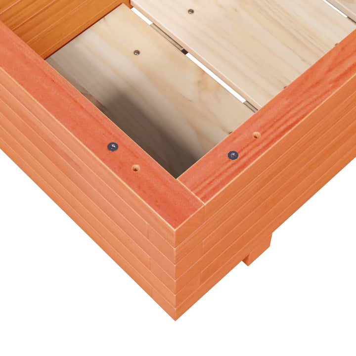 plantekasse 70x40x26,5 cm massivt fyrretræ gyldenbrun