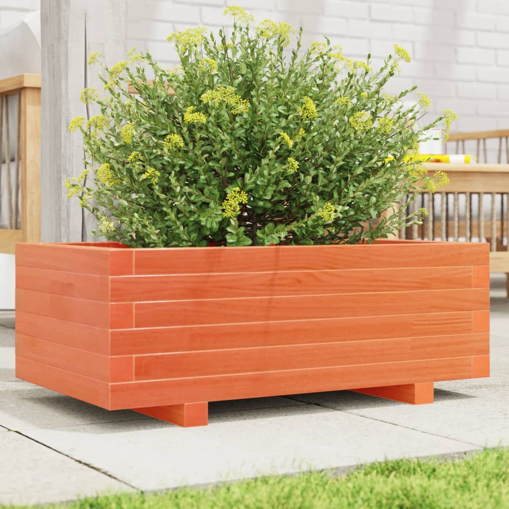 plantekasse 70x40x26,5 cm massivt fyrretræ gyldenbrun