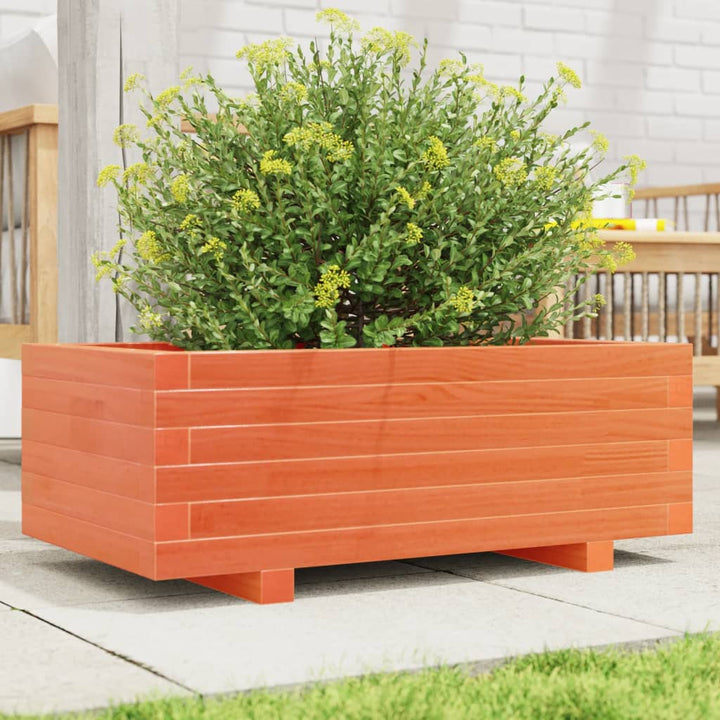 plantekasse 70x40x26,5 cm massivt fyrretræ gyldenbrun