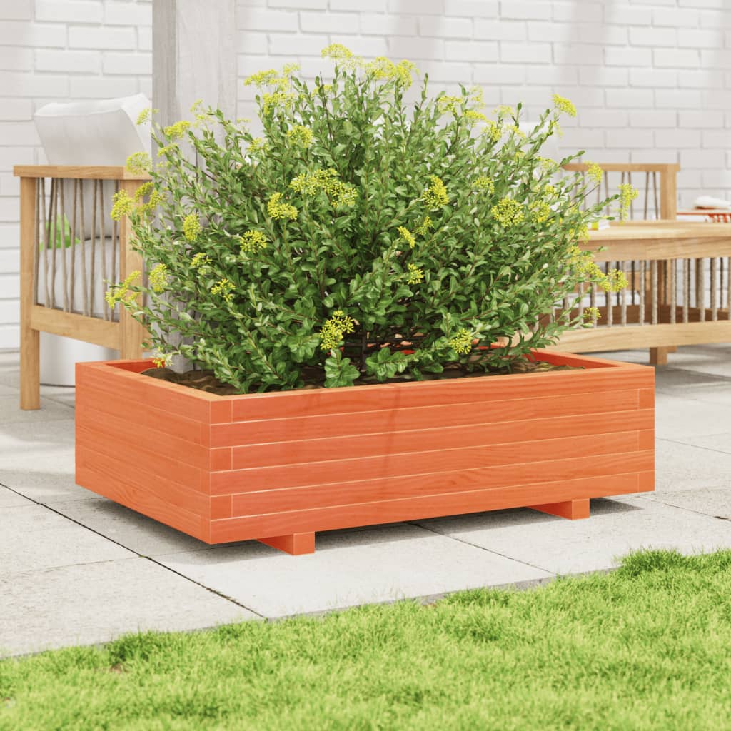 plantekasse 90x60x26,5 cm massivt fyrretræ gyldenbrun