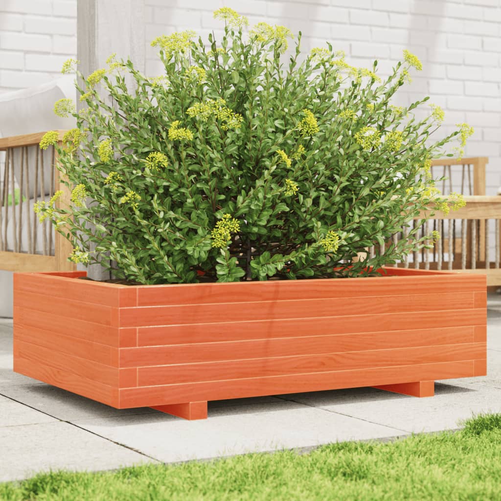plantekasse 90x60x26,5 cm massivt fyrretræ gyldenbrun