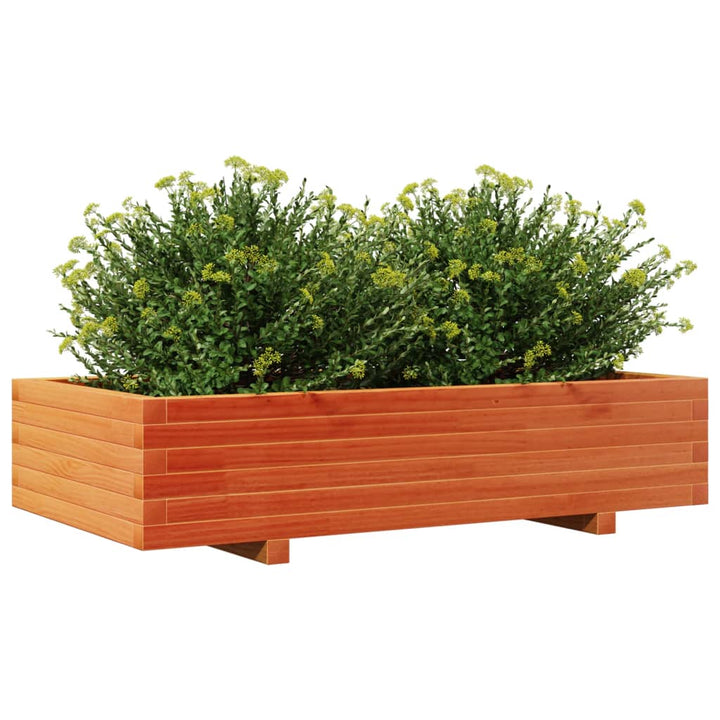 plantekasse 110x60x26,5 cm massivt fyrretræ gyldenbrun