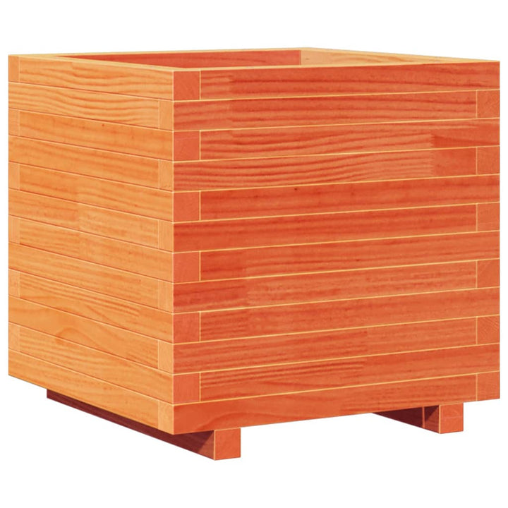 plantekasse 50x50x49,5 cm massivt fyrretræ gyldenbrun