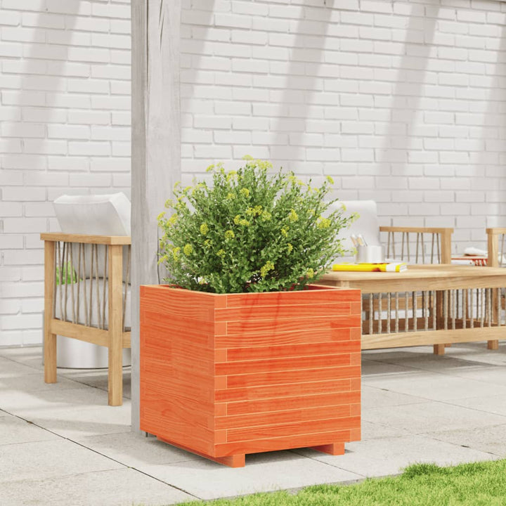 plantekasse 50x50x49,5 cm massivt fyrretræ gyldenbrun