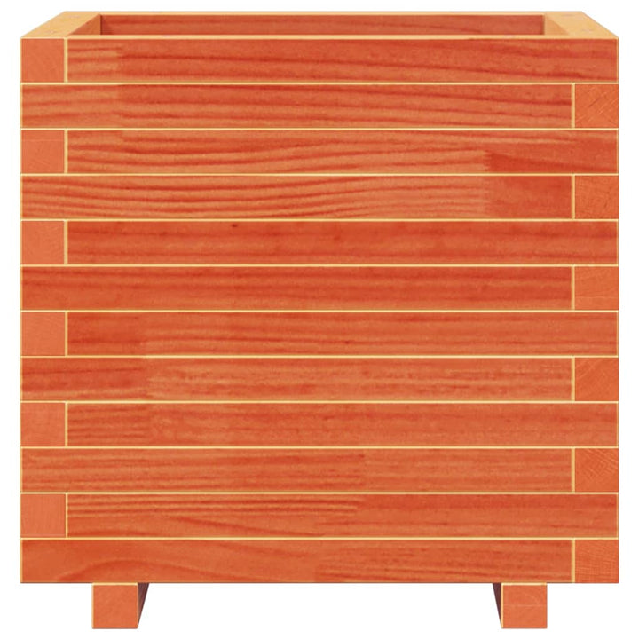 plantekasse 50x50x49,5 cm massivt fyrretræ gyldenbrun