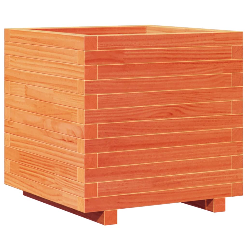 plantekasse 50x50x49,5 cm massivt fyrretræ gyldenbrun