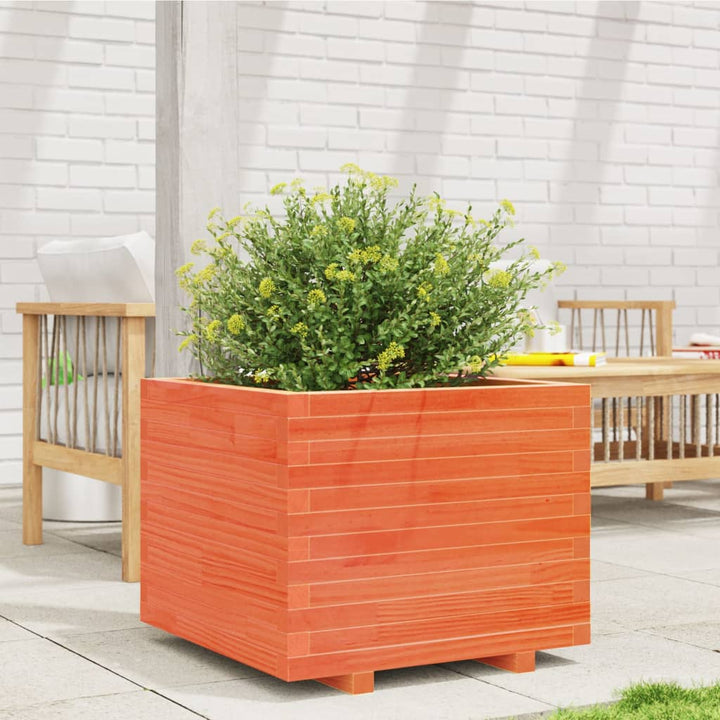 plantekasse 60x60x49,5 cm massivt fyrretræ gyldenbrun