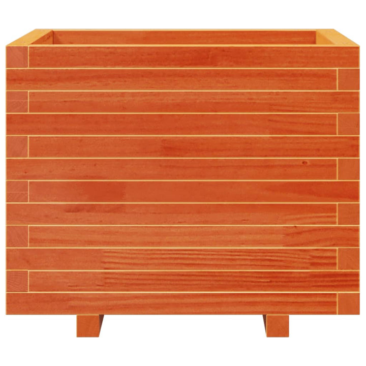 plantekasse 60x60x49,5 cm massivt fyrretræ gyldenbrun