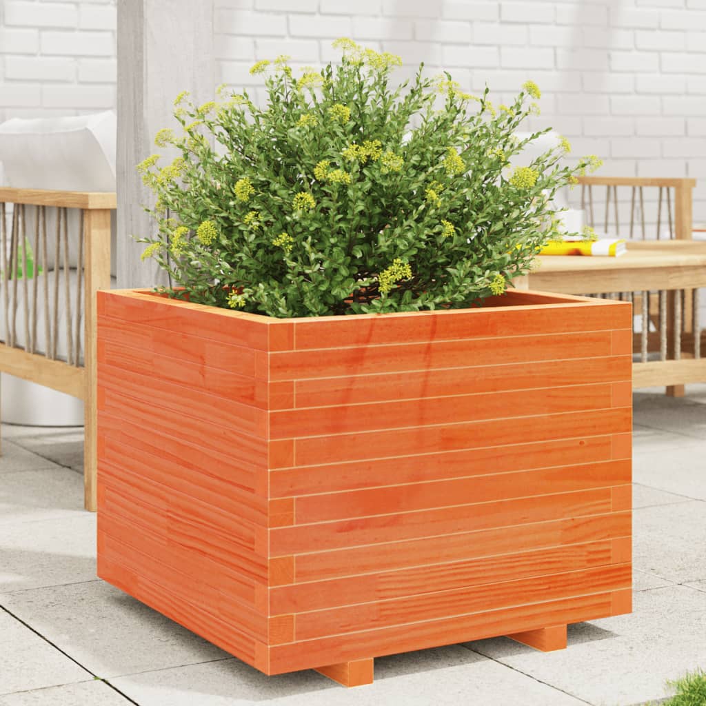 plantekasse 60x60x49,5 cm massivt fyrretræ gyldenbrun