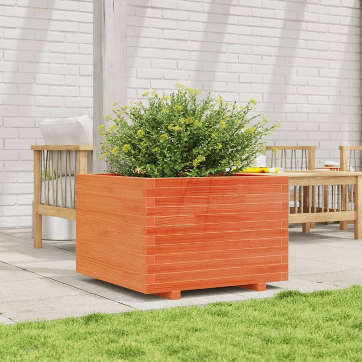 plantekasse 70x70x49,5 cm massivt fyrretræ gyldenbrun