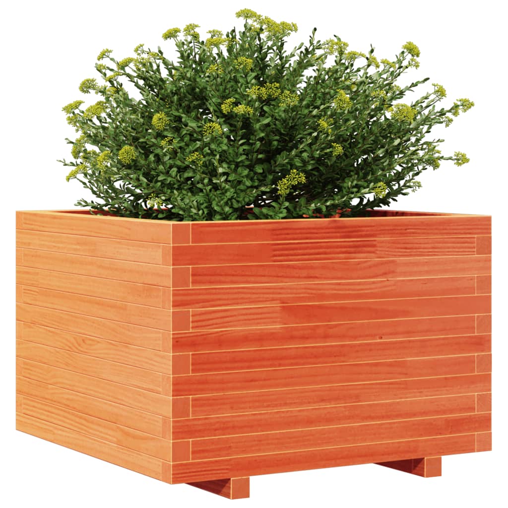 plantekasse 70x70x49,5 cm massivt fyrretræ gyldenbrun
