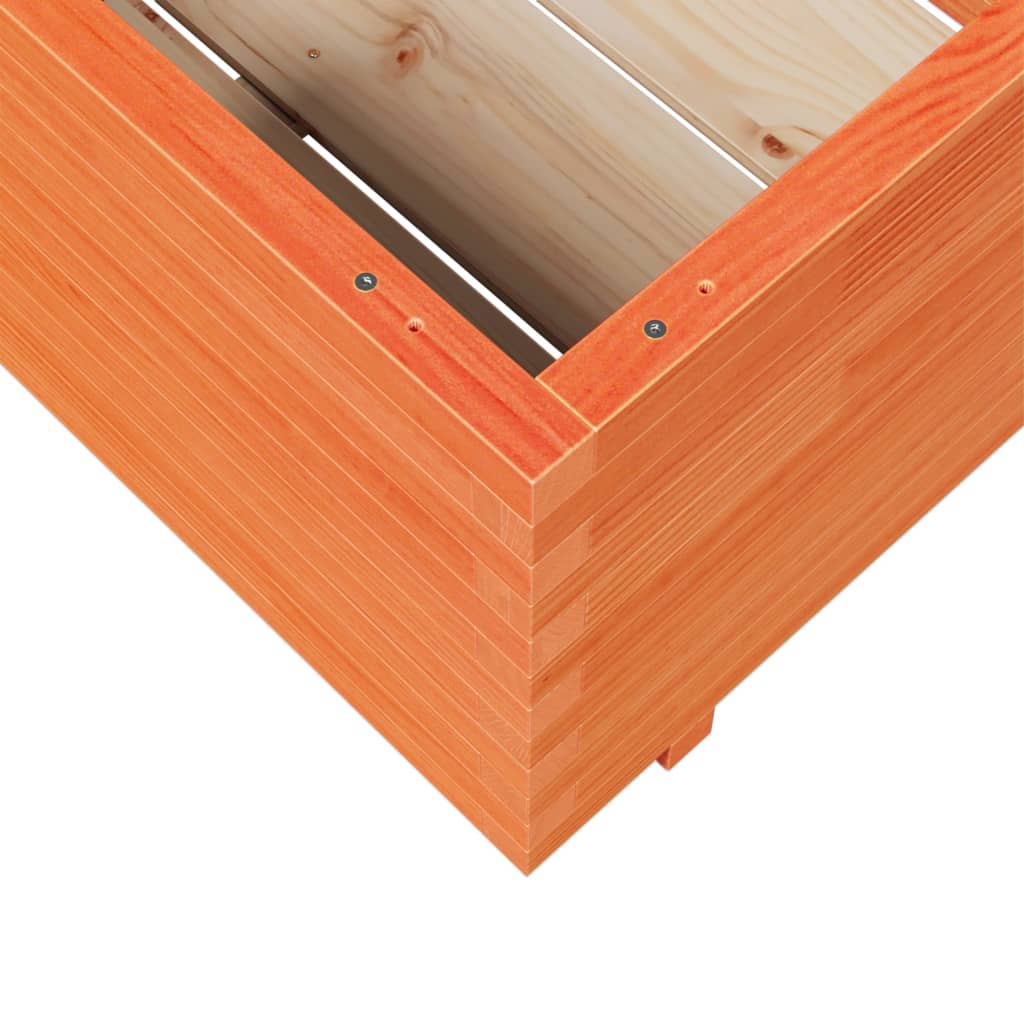 plantekasse 70x70x49,5 cm massivt fyrretræ gyldenbrun