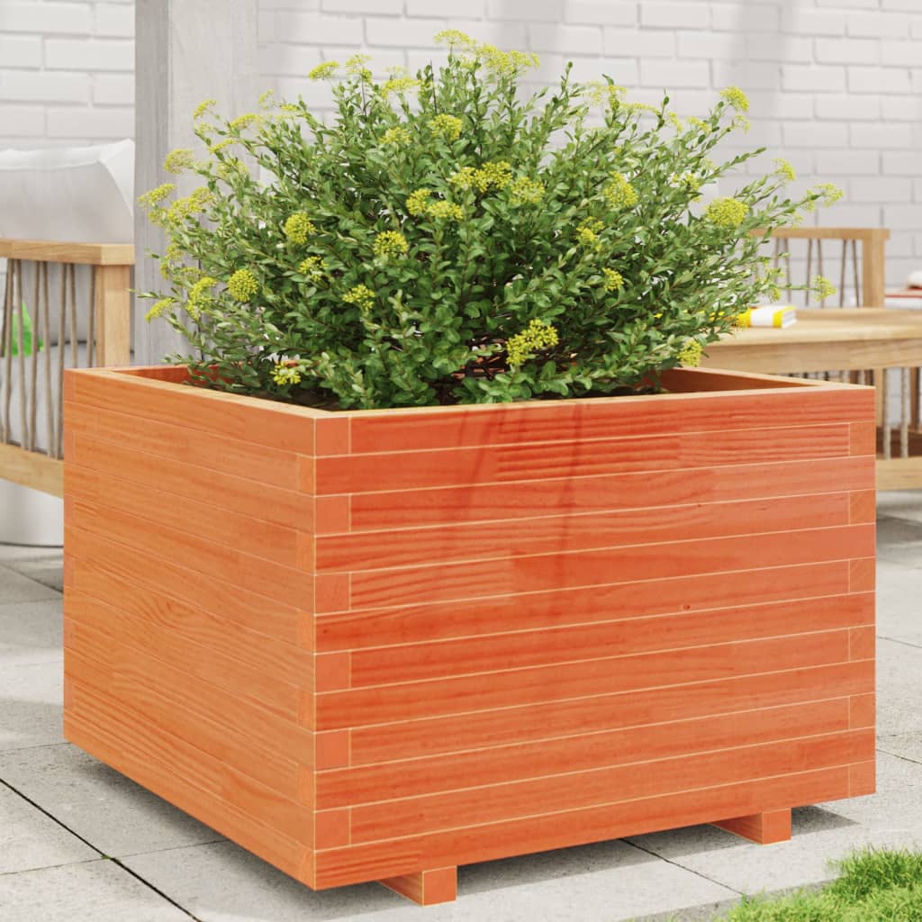 plantekasse 70x70x49,5 cm massivt fyrretræ gyldenbrun