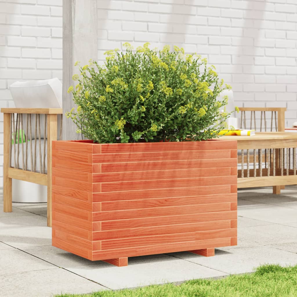 plantekasse 70x40x49,5 cm massivt fyrretræ gyldenbrun