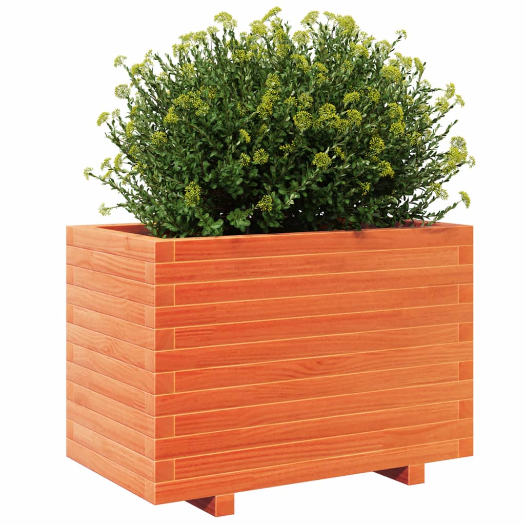 plantekasse 70x40x49,5 cm massivt fyrretræ gyldenbrun
