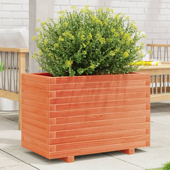 plantekasse 70x40x49,5 cm massivt fyrretræ gyldenbrun