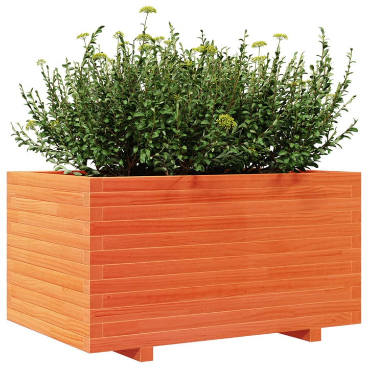 plantekasse 90x60x49,5 cm massivt fyrretræ gyldenbrun