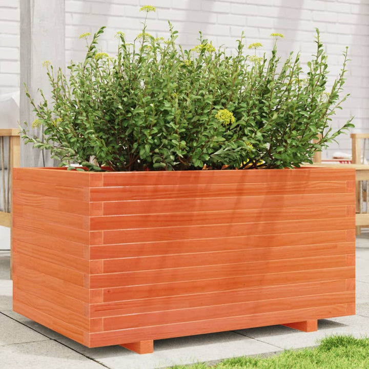 plantekasse 90x60x49,5 cm massivt fyrretræ gyldenbrun
