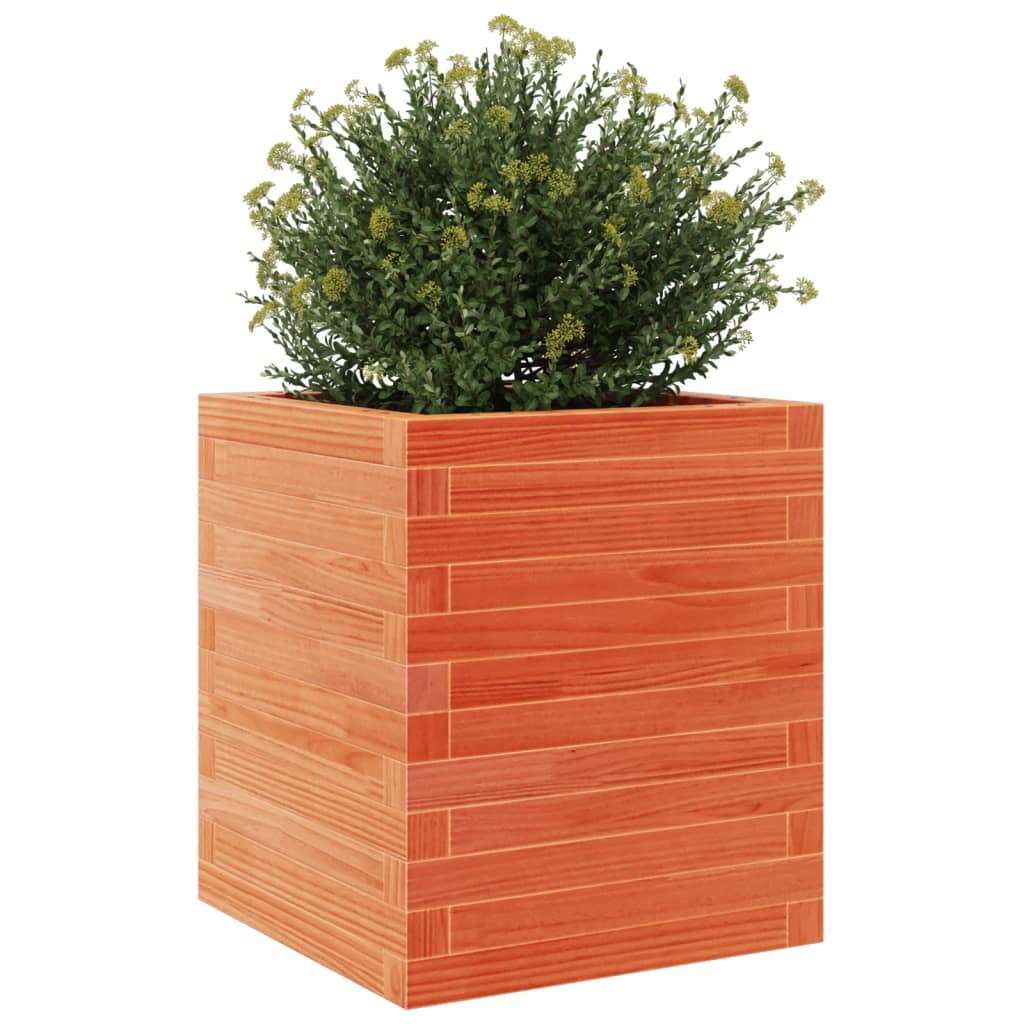 plantekasse 40x40x46 cm massivt fyrretræ gyldenbrun