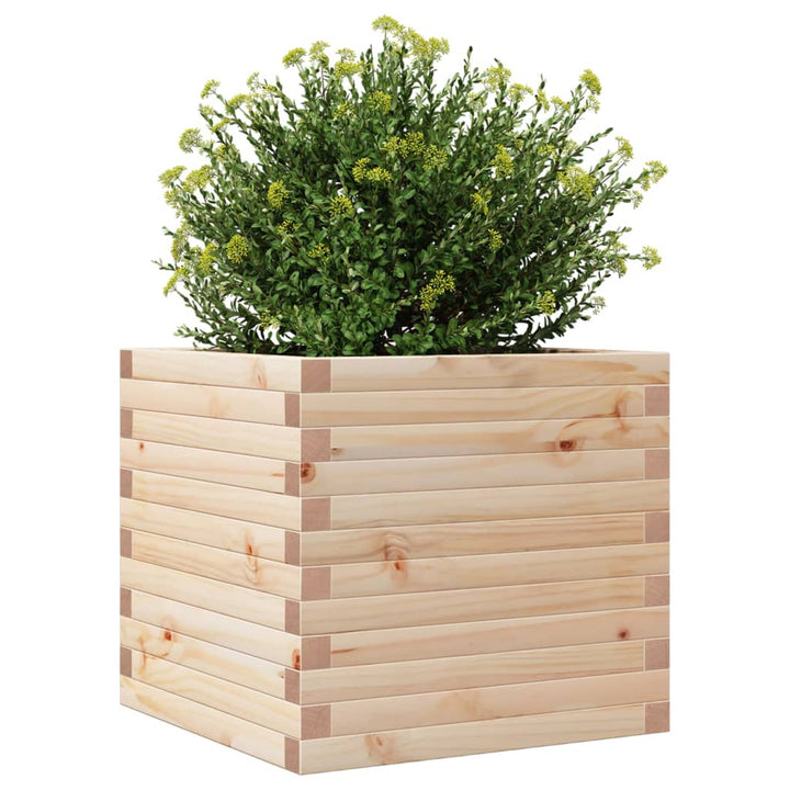 plantekasse 50x50x46 cm massivt fyrretræ
