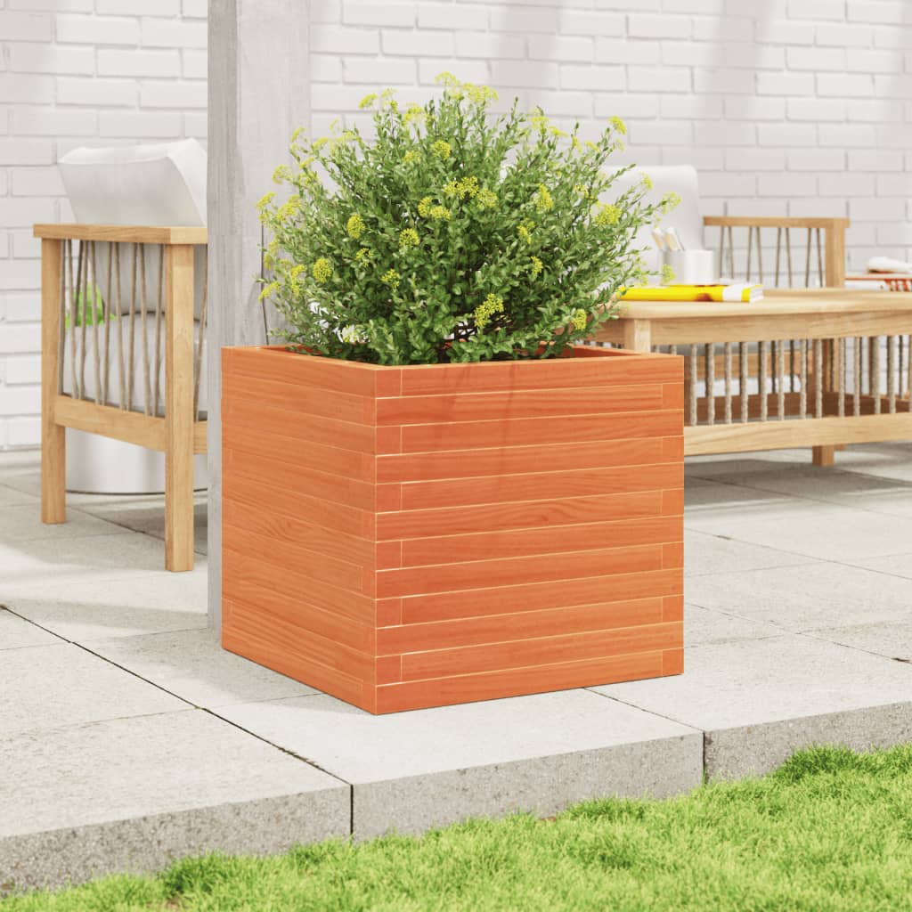 plantekasse 50x50x46 cm massivt fyrretræ gyldenbrun
