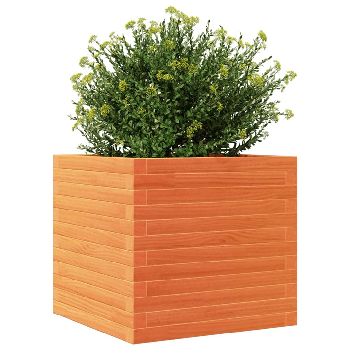 plantekasse 50x50x46 cm massivt fyrretræ gyldenbrun
