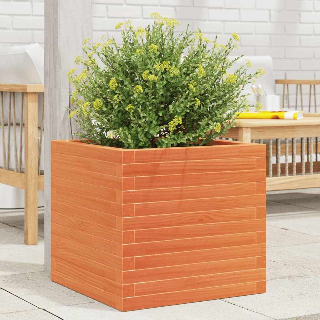 plantekasse 50x50x46 cm massivt fyrretræ gyldenbrun