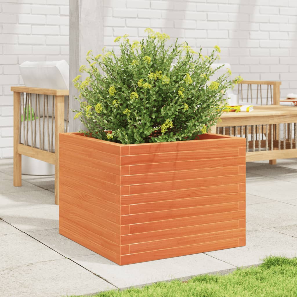 plantekasse 60x60x46 cm massivt fyrretræ gyldenbrun