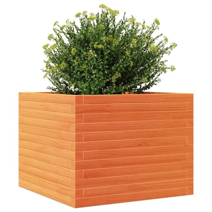 plantekasse 60x60x46 cm massivt fyrretræ gyldenbrun