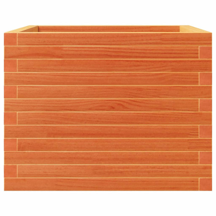 plantekasse 60x60x46 cm massivt fyrretræ gyldenbrun