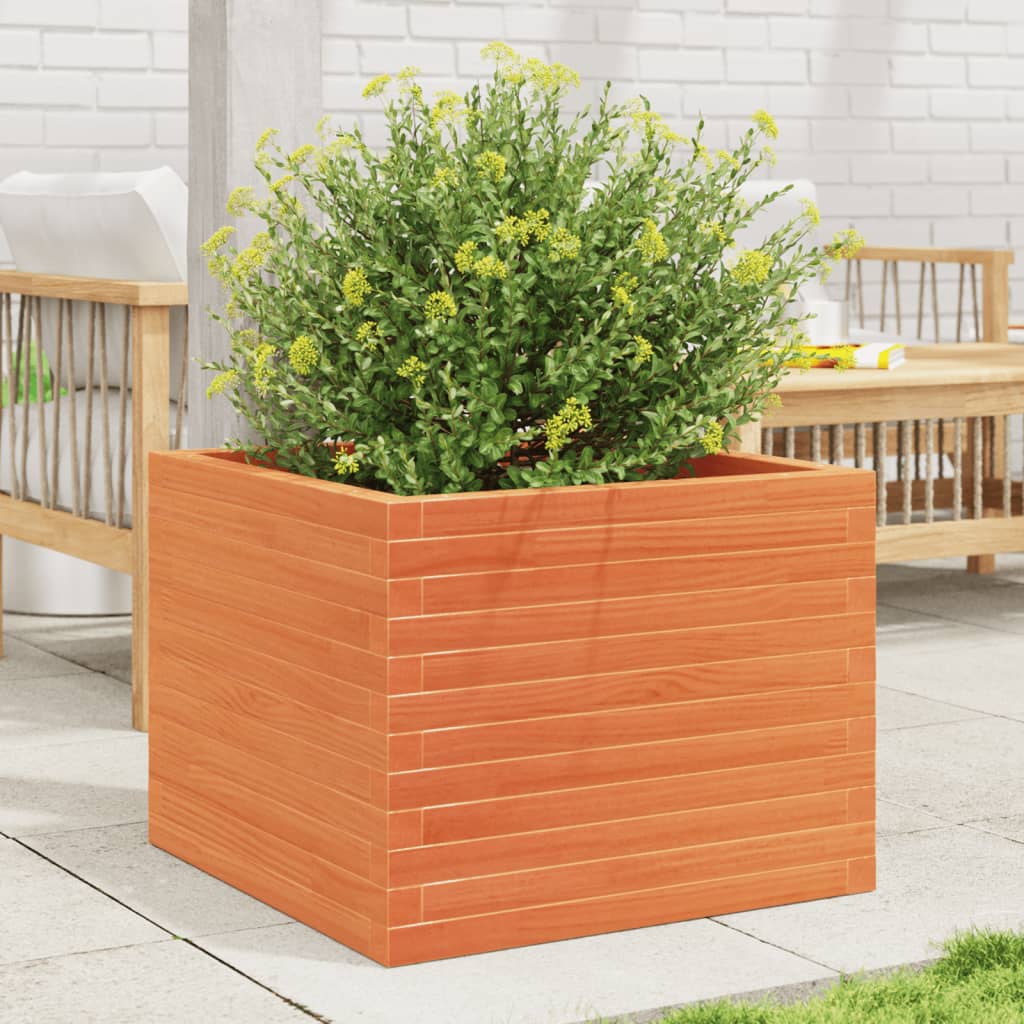 plantekasse 60x60x46 cm massivt fyrretræ gyldenbrun