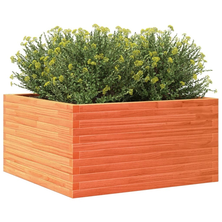 plantekasse 90x90x46 cm massivt fyrretræ gyldenbrun