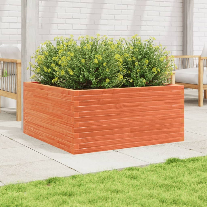 plantekasse 100x100x46 cm massivt fyrretræ gyldenbrun