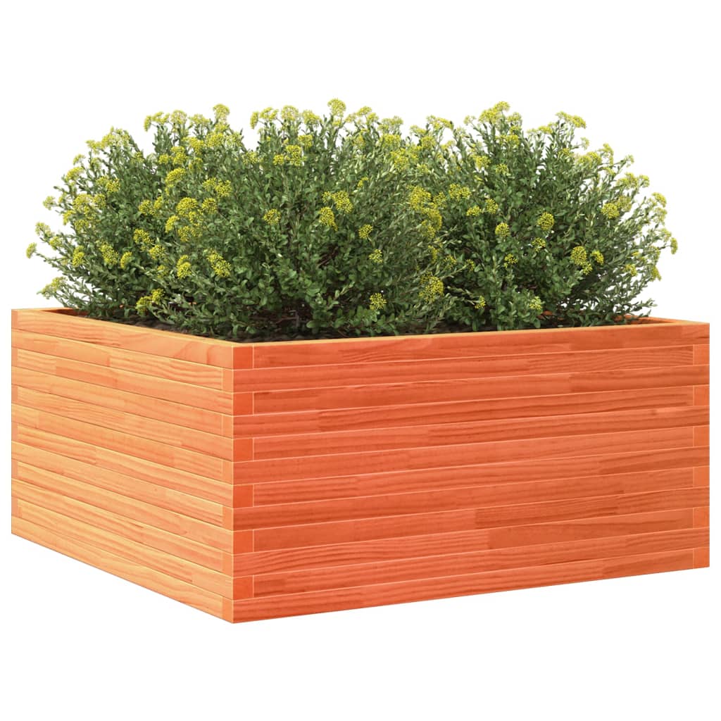 plantekasse 100x100x46 cm massivt fyrretræ gyldenbrun