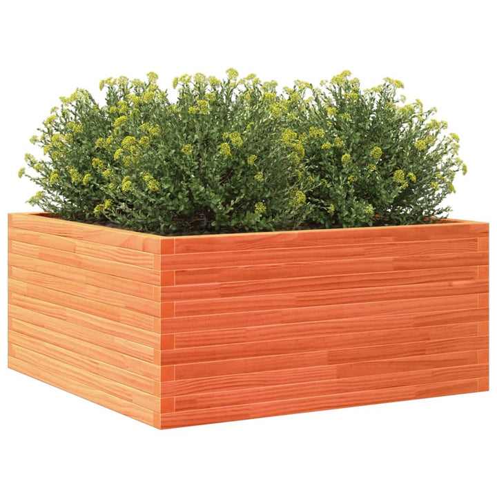 plantekasse 100x100x46 cm massivt fyrretræ gyldenbrun