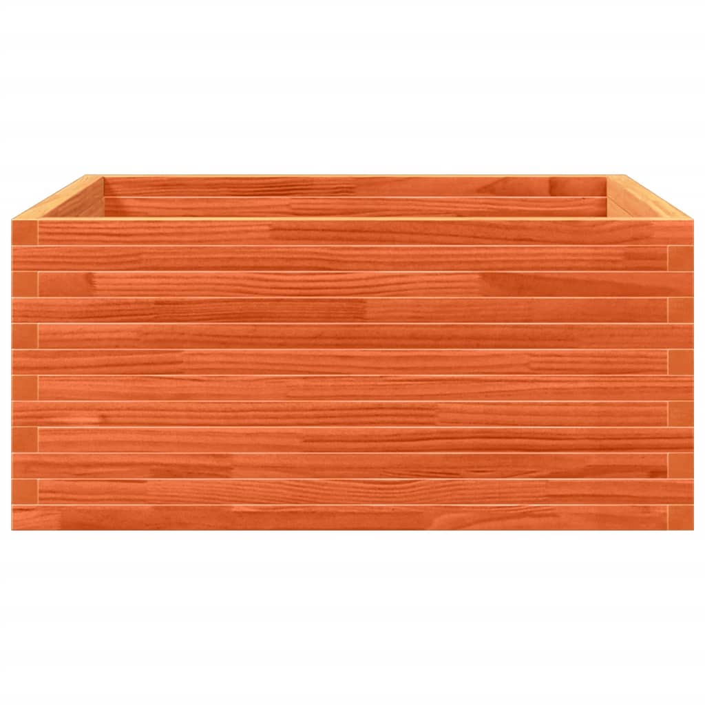 plantekasse 100x100x46 cm massivt fyrretræ gyldenbrun