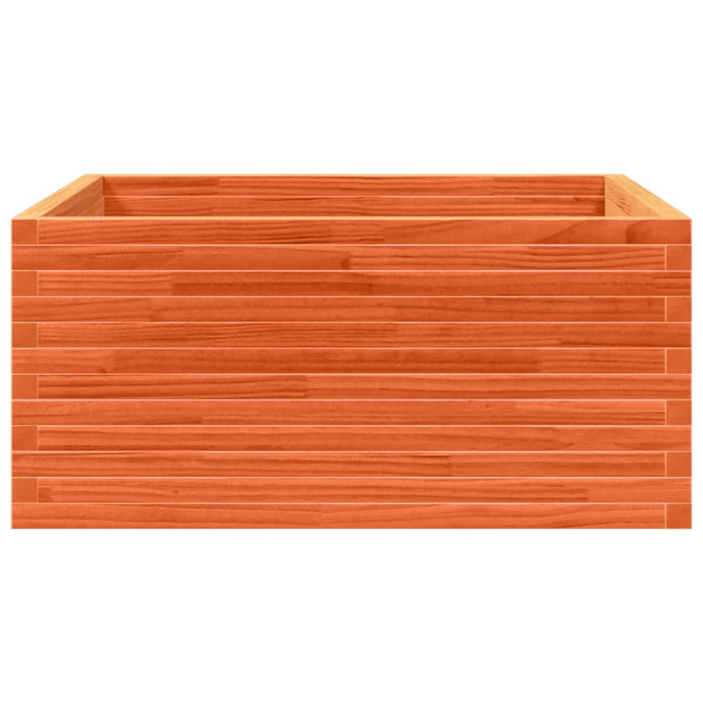 plantekasse 100x100x46 cm massivt fyrretræ gyldenbrun