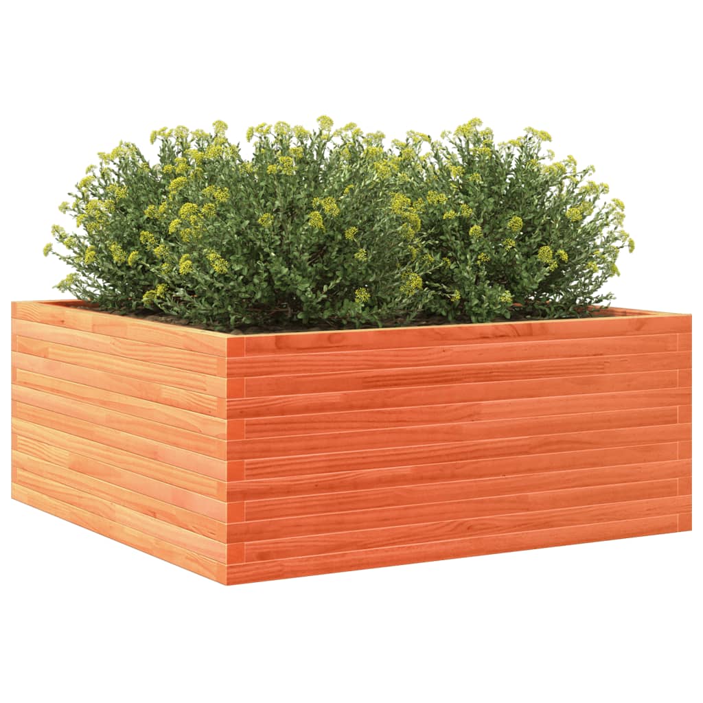 plantekasse 110x110x46 cm massivt fyrretræ gyldenbrun