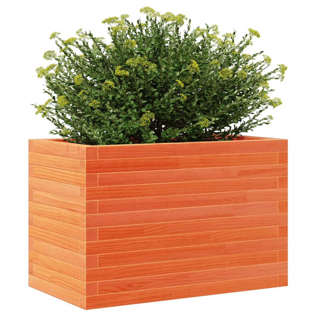 plantekasse 70x40x46 cm massivt fyrretræ gyldenbrun