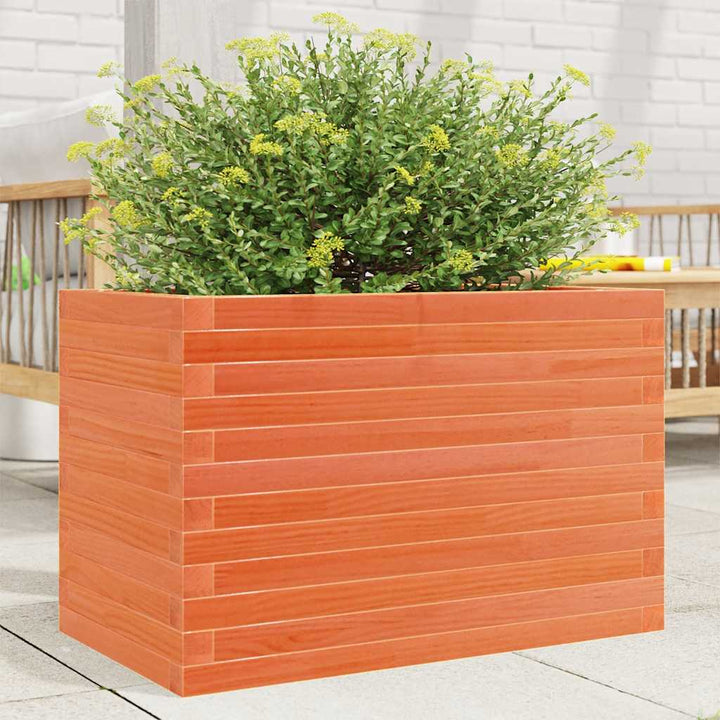 plantekasse 70x40x46 cm massivt fyrretræ gyldenbrun