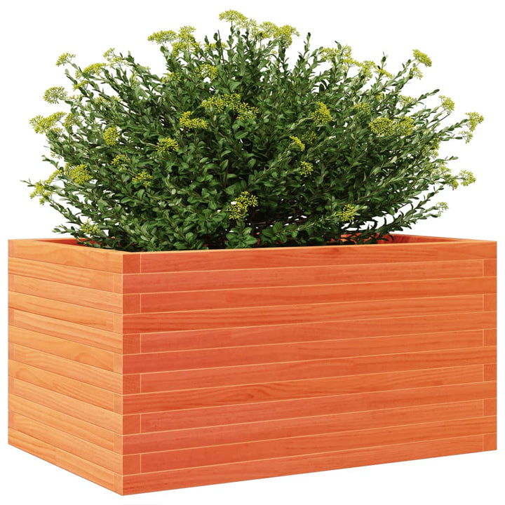 plantekasse 90x60x46 cm massivt fyrretræ gyldenbrun