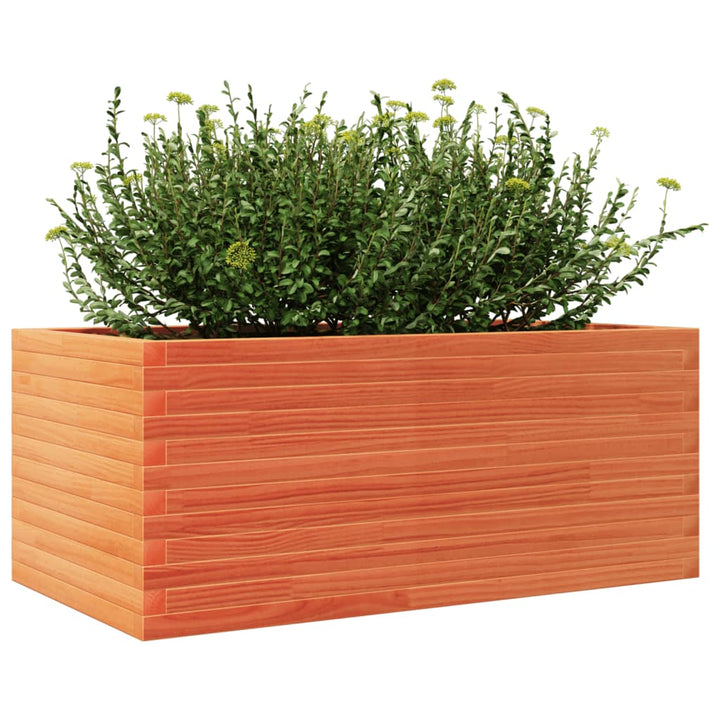 plantekasse 110x60x46 cm massivt fyrretræ gyldenbrun