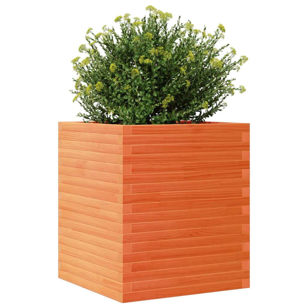 plantekasse 60x60x68,5 cm massivt fyrretræ gyldenbrun