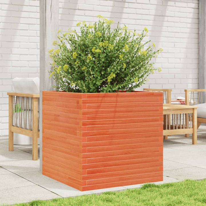 plantekasse 70x70x68,5 cm massivt fyrretræ gyldenbrun